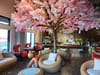 Cafe interior with big artificial tree