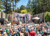 A crowd of concert goers in tie-day enjoying live music.